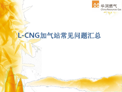 L-CNG加气站常见问题汇总PPT精选文档