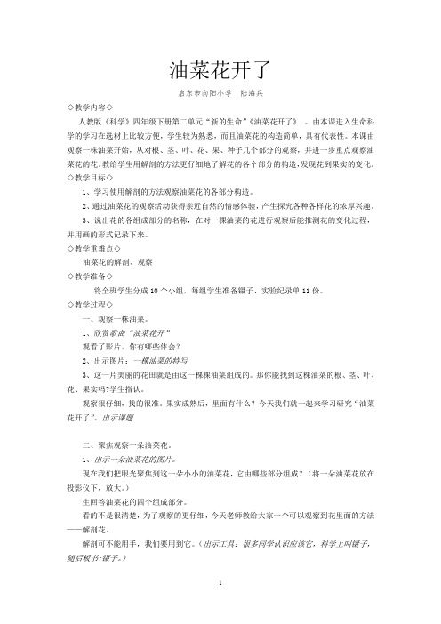 人教版科学《油菜花开了》教学设计