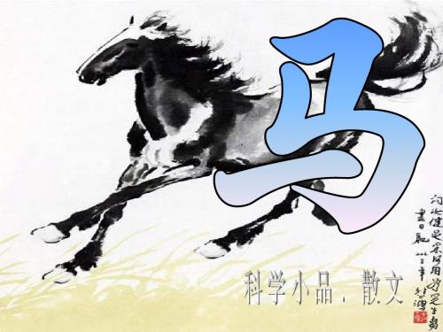 《马》布封