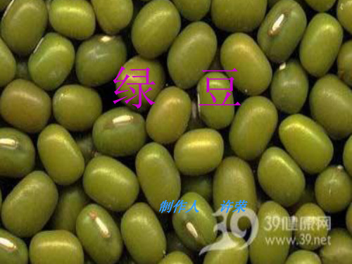 绿   豆PPT