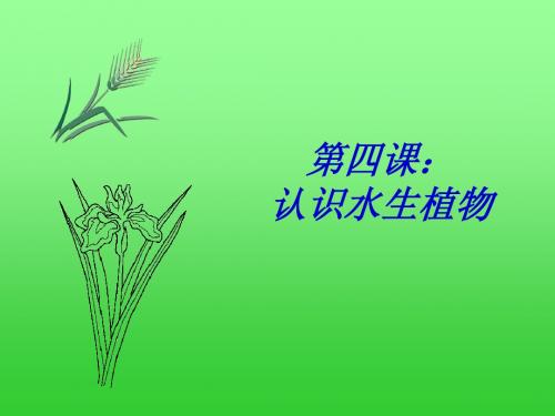 1.4认识水生植物