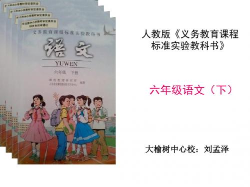 六年级语文下册知识树