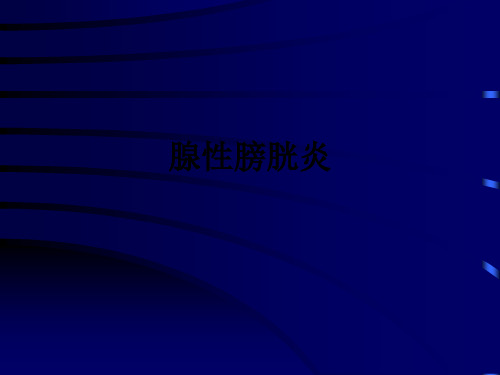 腺性膀胱炎ppt课件