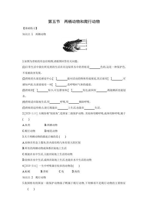 5.1.5 两栖动物和爬行动物同步练习 2021——2022学年人教版八年级生物上册