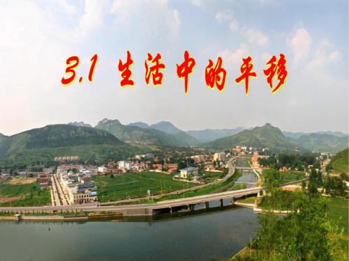3.1 生活中的平移 课件 2(北师大版八年级上)