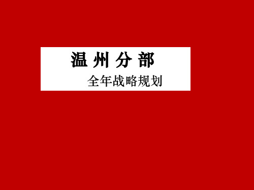 温州国美电器年度战略规划(35页)PPT课件