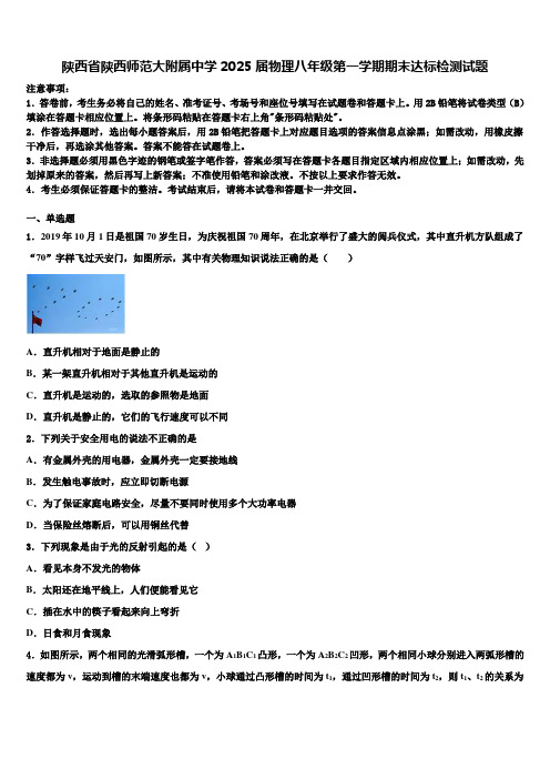 陕西省陕西师范大附属中学2025届物理八年级第一学期期末达标检测试题含解析