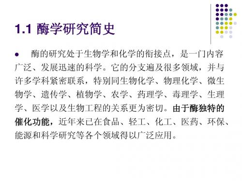 酶学绪论