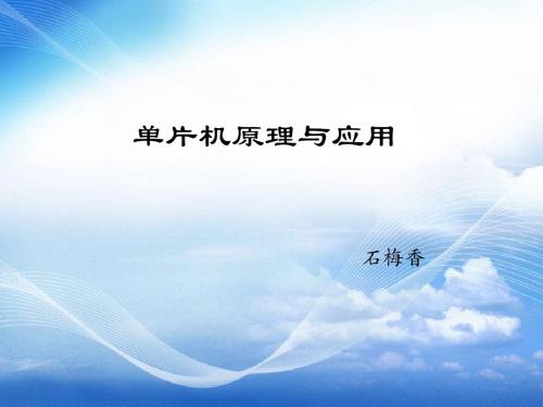 项目x1.1