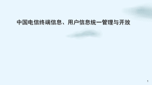 信息与通信DIMOIDD汇报材料课件PPT