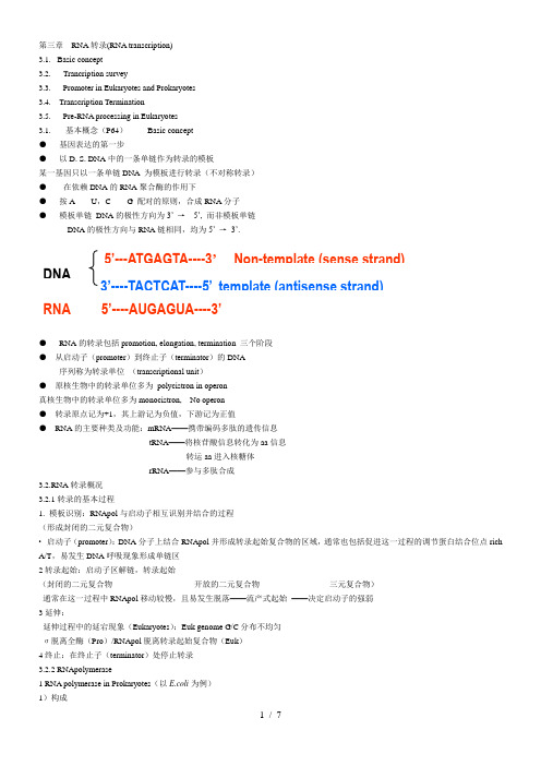 分子生物学三章  RNA转录