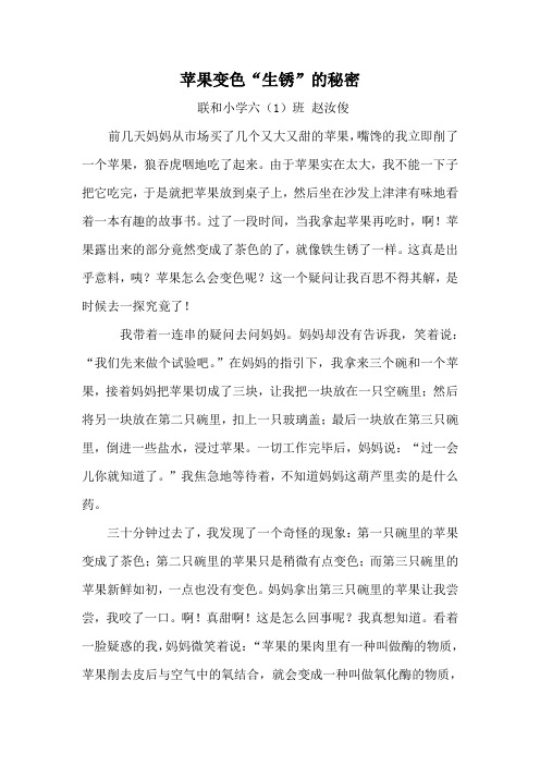苹果变色“生锈”的秘密六(1)赵汝俊