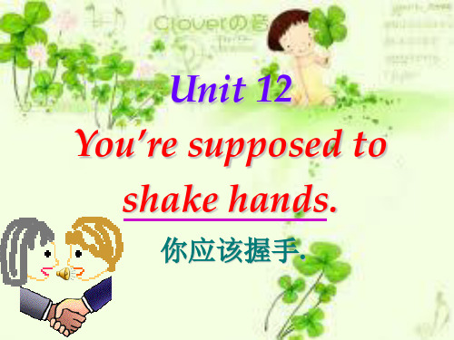 unit 12重要课件第一课时