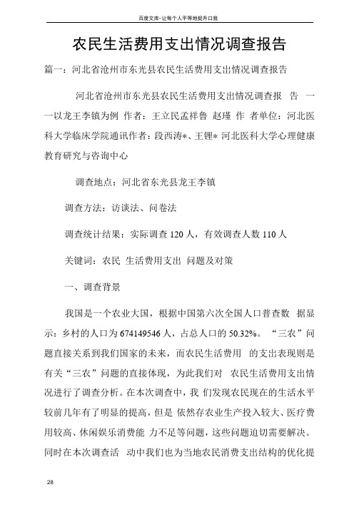 农民生活费用支出情况调查报告