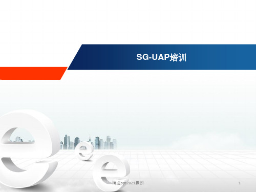 SG-UAP平台概述与两级技术服务ppt课件