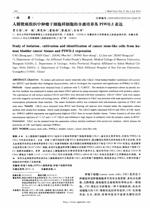 人膀胱癌组织中肿瘤干细胞样细胞的分离培养及PIWIL2表达