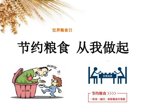 勤俭节约_从我做起主题班会+节粮爱粮主题班会