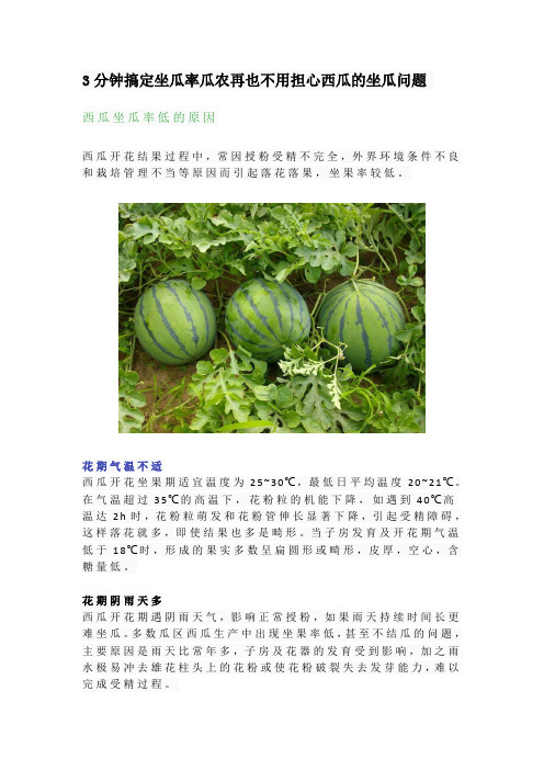 3分钟搞定坐瓜率瓜农再也不用担心西瓜的坐瓜问题