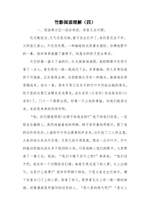 竹影阅读理解(四)