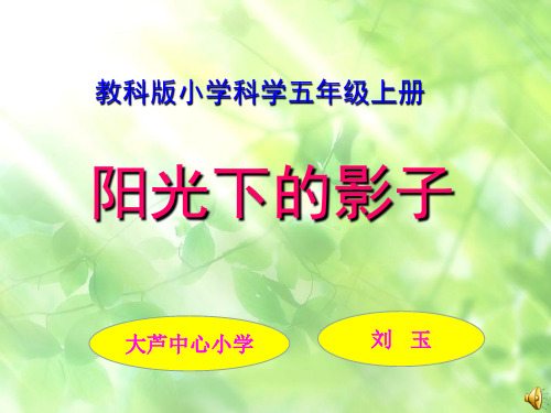 《阳光下的影子》课件