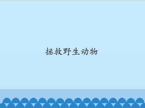 三年级上册科学课件-7 拯救野生动物-首师大版 (共10张PPT)