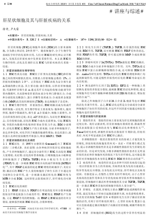 肝星状细胞及其与肝脏疾病的关系