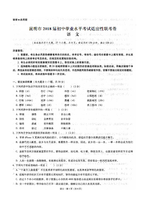 昆明市2018年初中学业水平考试_联考_语文(含答案)