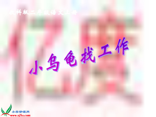 《小乌龟找工作》PPT课件