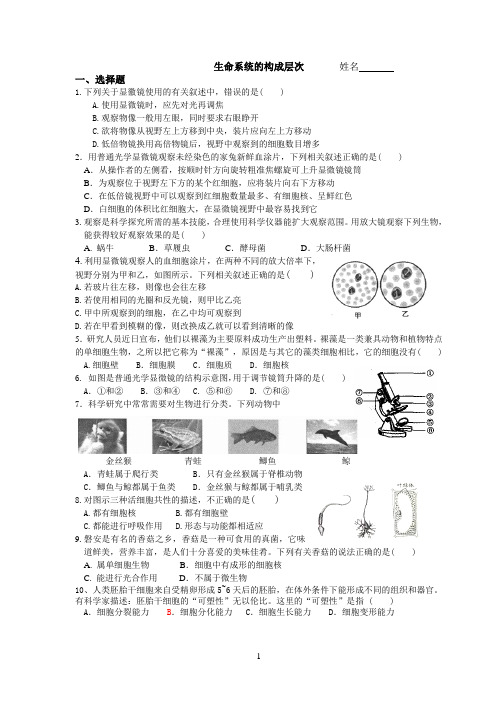 生命系统的构成层次(修正)