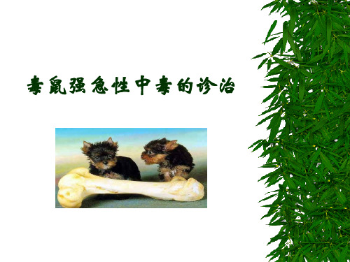 毒鼠强急性中毒的诊治