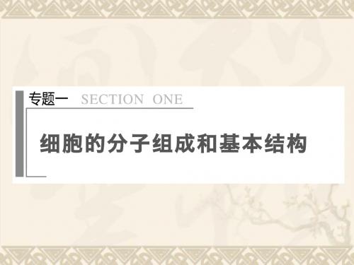 【步步高】(全国通用)高考生物大二轮专题复习与增分策略(构建网络+突破考点+巩固提升,以高考试题