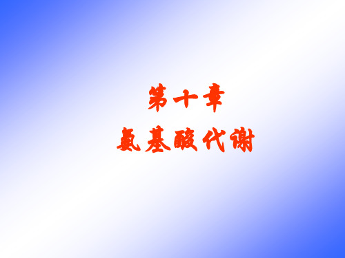 生物化学-10.19--第十章 氨基酸代谢