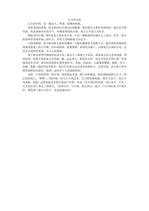 五月的乡村_小学作文