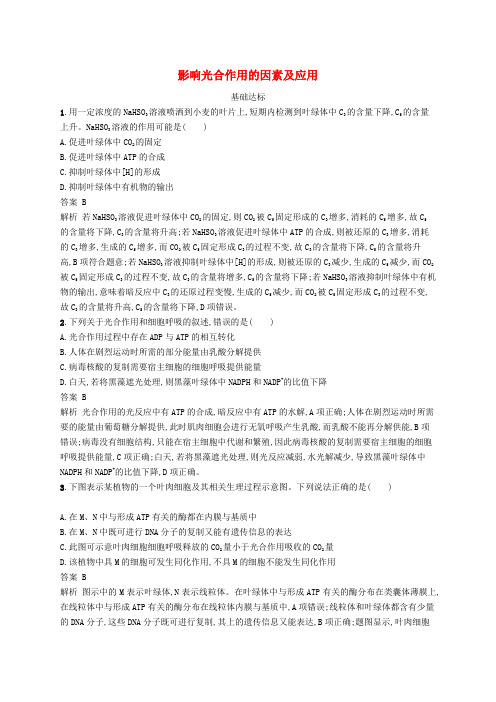 2020版高考生物一轮复习考点规范练10影响光合作用的因素及应用含解析7