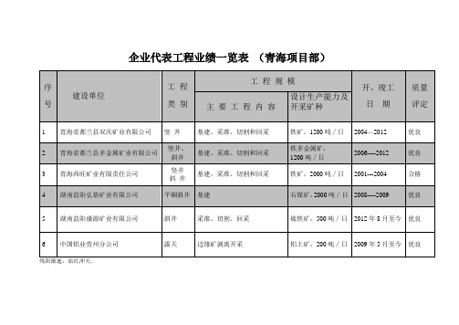 企业代表工程业绩一览表
