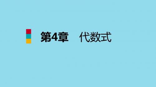 七年级数学上册 第四章 代数式 4.4 整式导学课件 (新