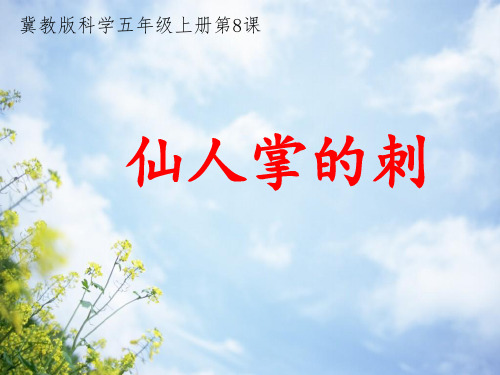 五年级上册科学课件-8仙人掌的刺 ｜冀教版  (共9张PPT)