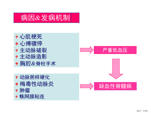 脊髓血管病概述课件