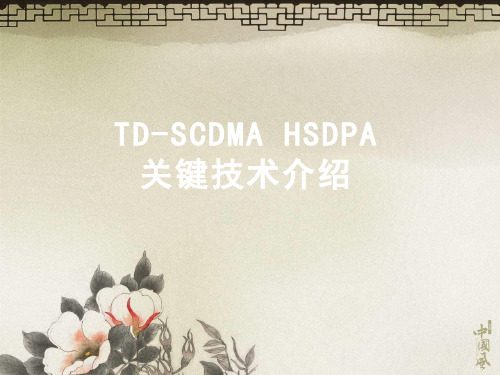 D-SCDMAHSDPA关键技术介绍