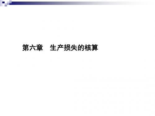 生产损失的核算概述(PPT38张)