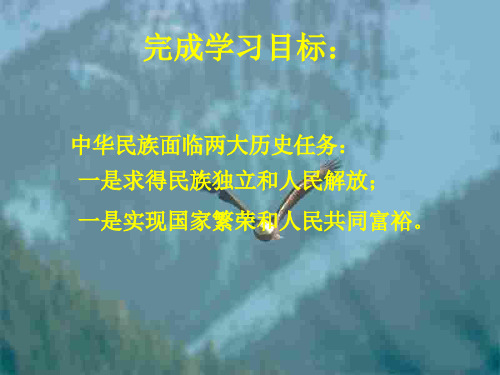 九年级政治当代青年的崇高使命2
