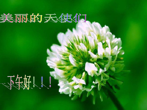 浅谈护理关系中的沟通技巧(PPT 57页)