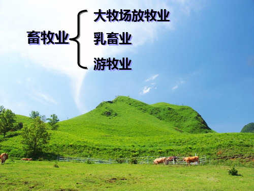 人教版高中地理必修二课件：3.3.1大牧场放牧业 (共28张PPT)