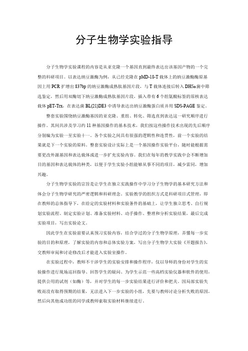 分子生物学实验指导(精品文档)_共44页