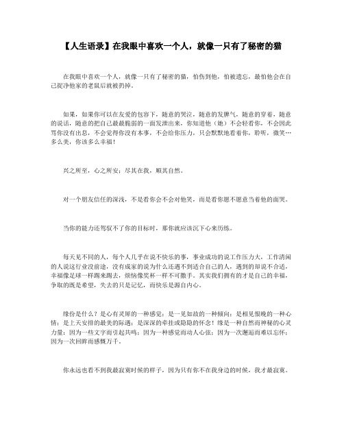 【人生语录】在我眼中喜欢一个人,就像一只有了秘密的猫
