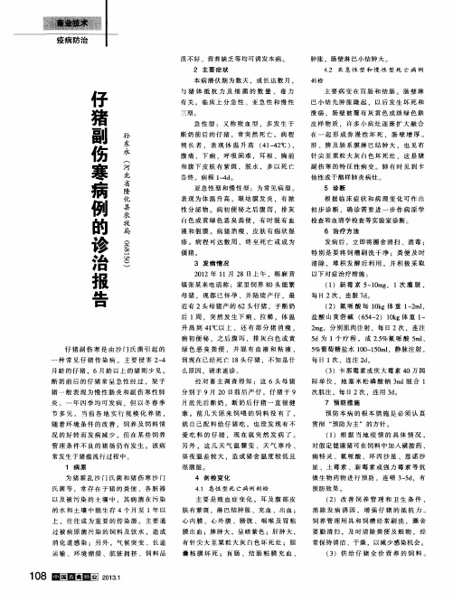 仔猪副伤寒病例的诊治报告