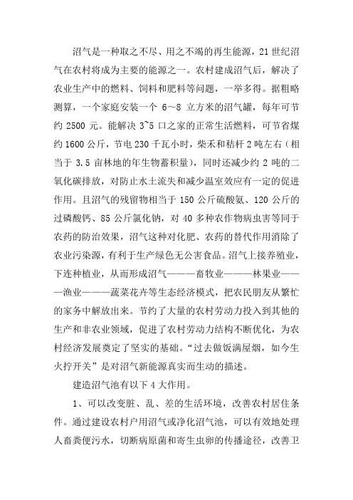 沼气资料