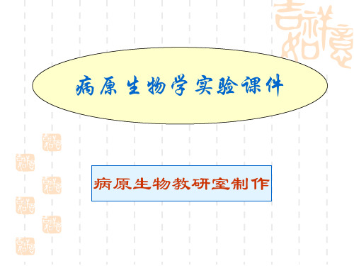 病原生物学实验课件.讲课教案