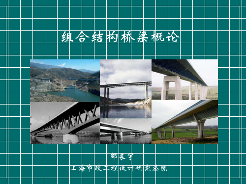 组合结构桥梁概论