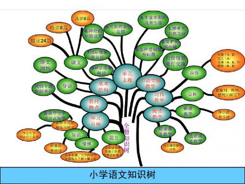 三年级下册知识树1-8.谢